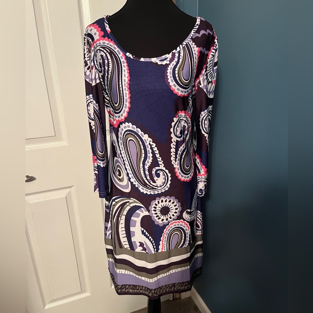 White Mark Purple and Pink Paisley Dress